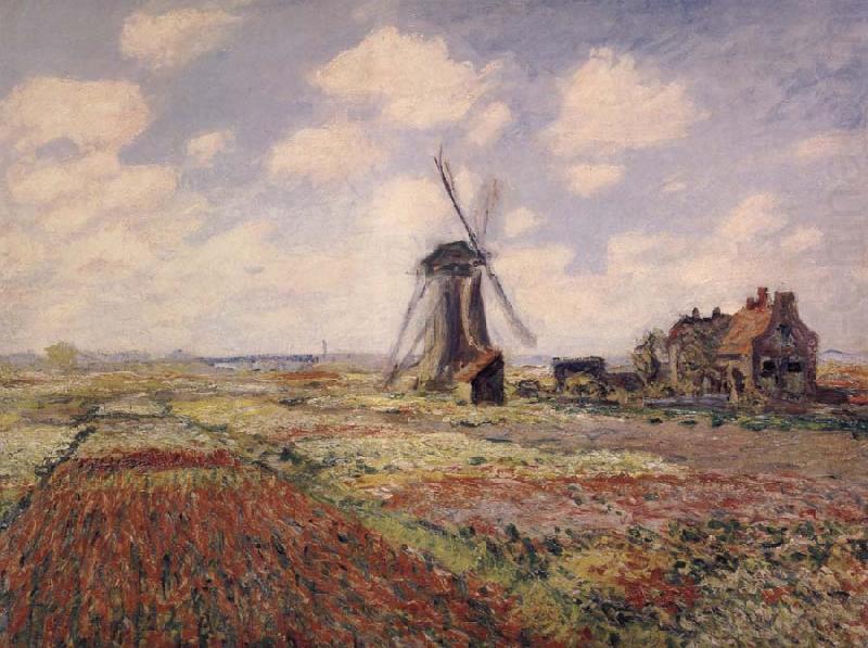 Claude Monet A Field of Tulips in Holland china oil painting image